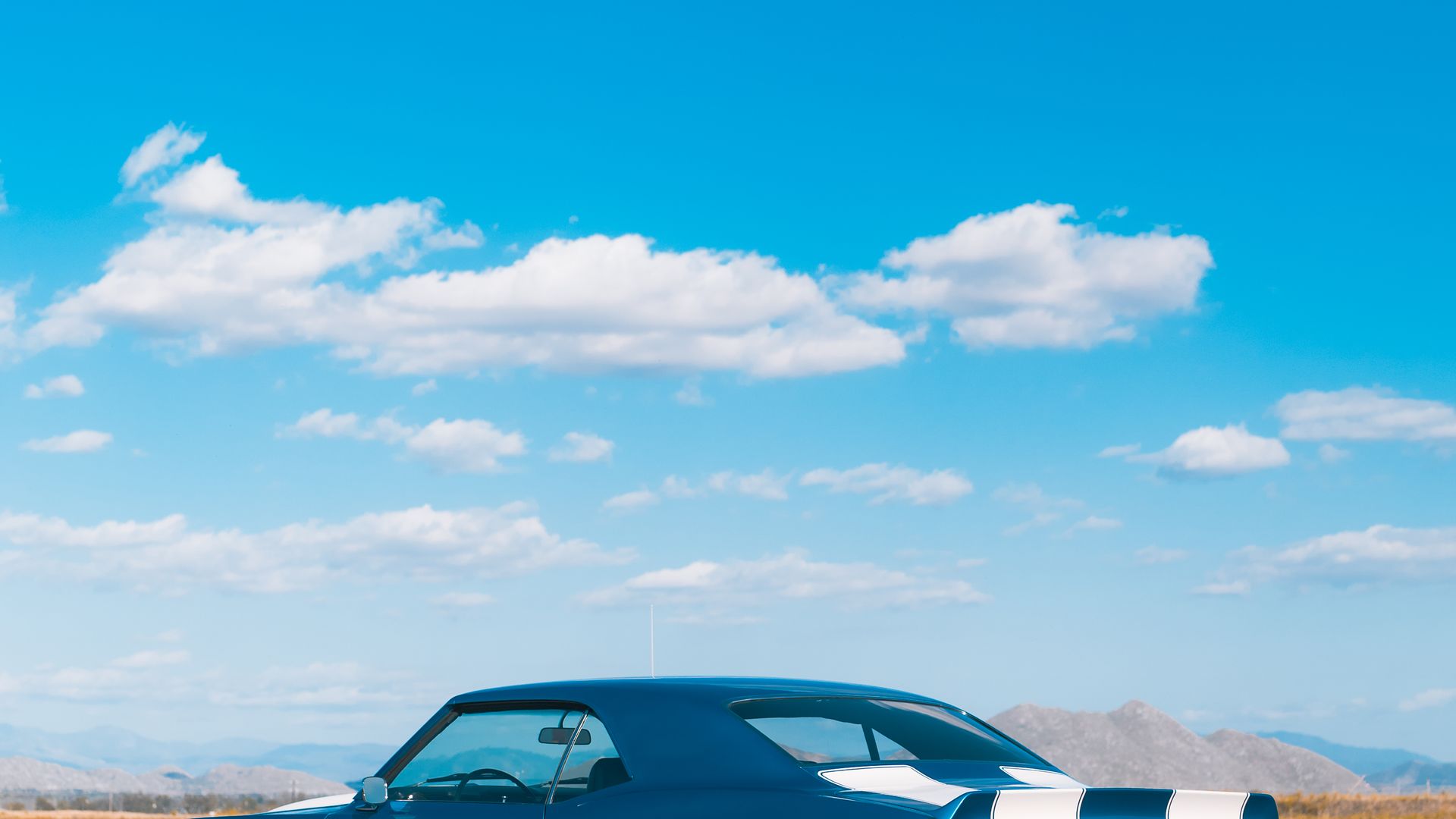 Camaro Member