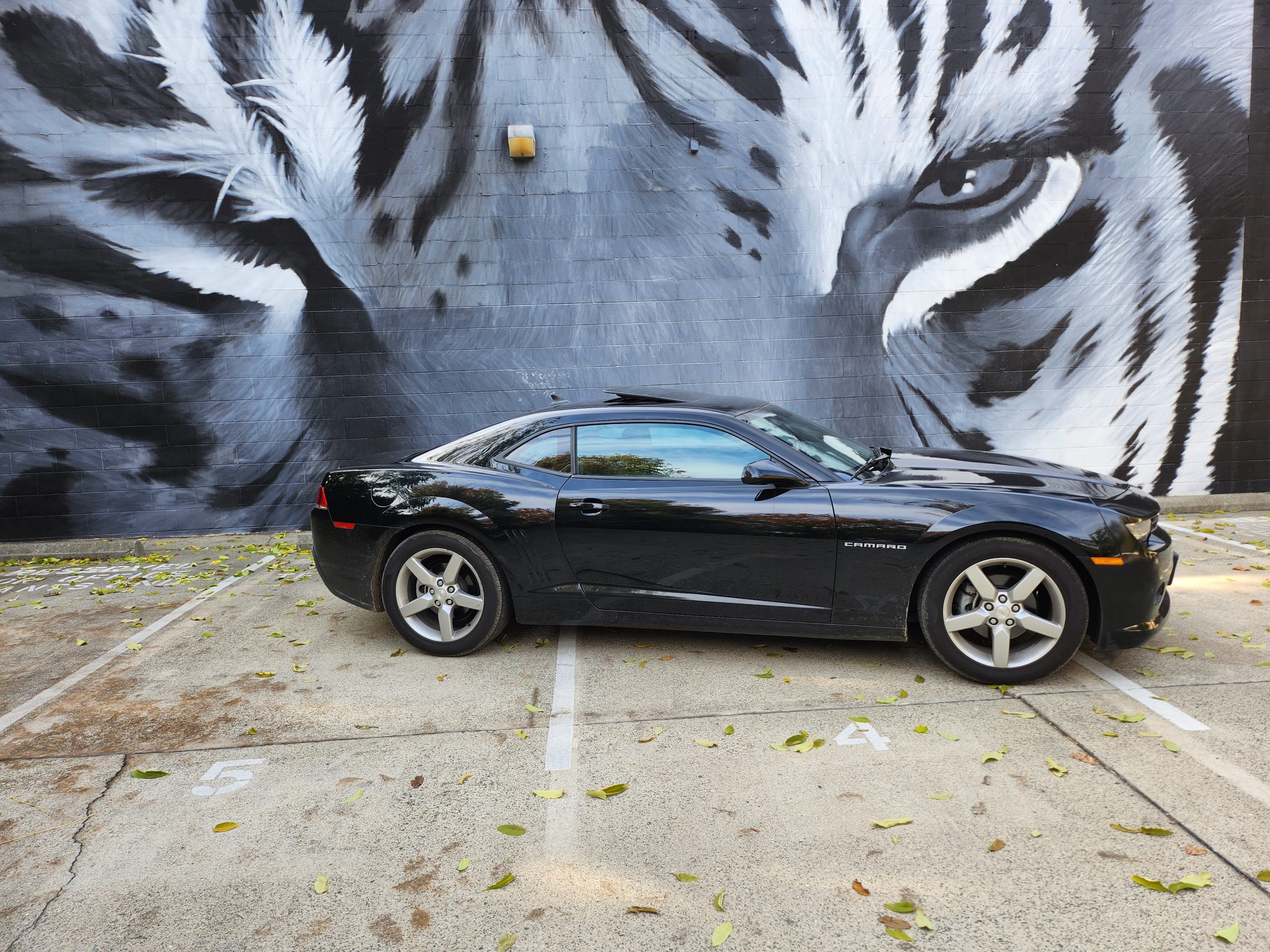 697 Member Name's 1969 Camaro Z/28 · Tuxedo Black