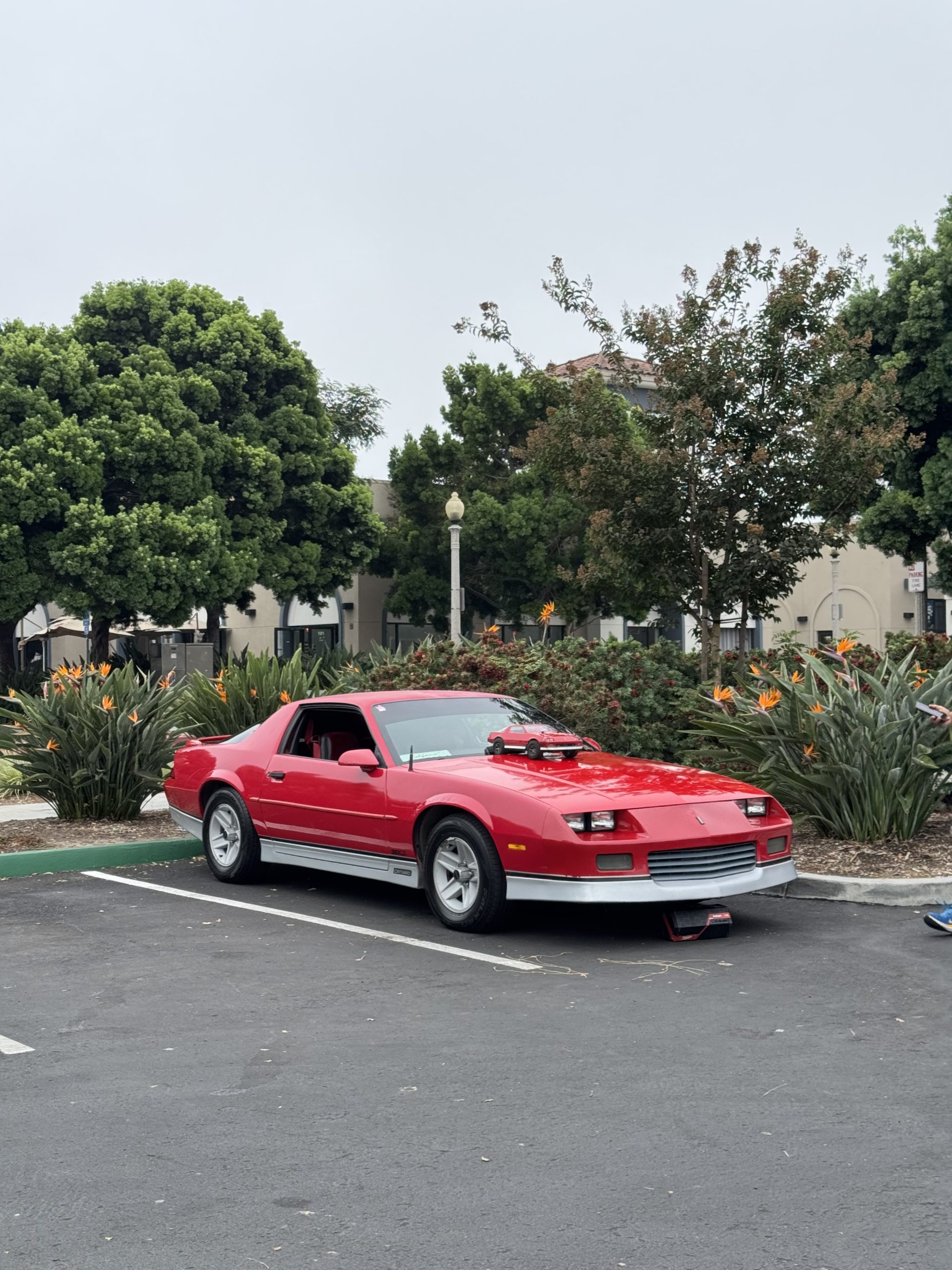 Sean webe — your-photo1 Member Name's 1969 Camaro Z/28 · Tuxedo Black